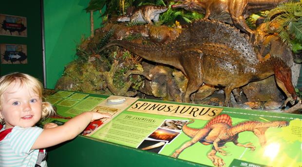 Torquay's Dinosaur World Picture 1