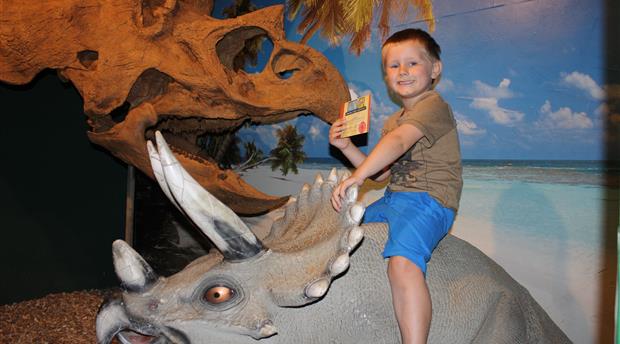 Torquay's Dinosaur World Picture 2