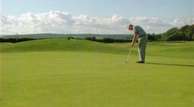 Oak Mead Family Pitch and Putt Picture 2