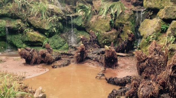 A Tried-and-True Visit to Paignton Zoo Picture 3