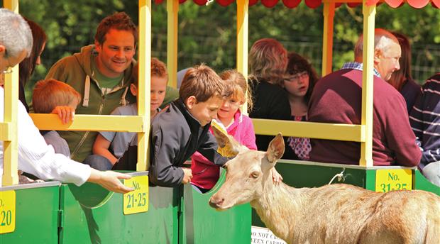World of Country Life, Exmouth Picture 1
