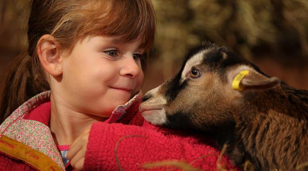World of Country Life, Exmouth Picture 3