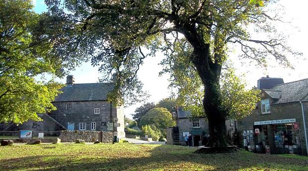 Widecombe in the Moor Picture 1