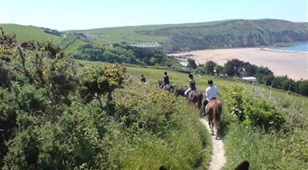 North Devon Riding Holidays Picture 1