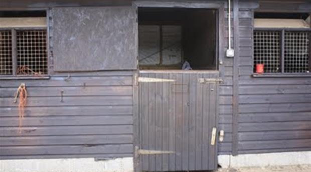 Roylands Riding Stables B&B for Horses (North Devon Riding Holidays) Picture 1