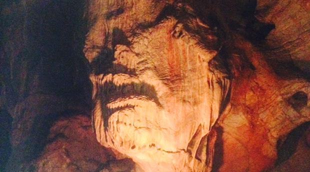 Cavemen Teeth: A Tour of Kents Cavern and Torquay Museum Picture 2
