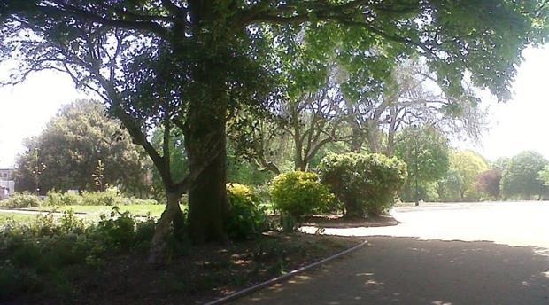 Devonport Park Picture 1