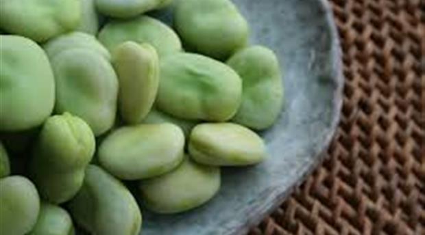 Minty Broad Beans with Lemon  Picture 1
