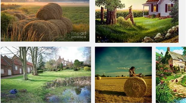 5 Top Wet Weather Attractions in Devon Picture 1