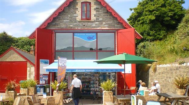 Ilfracombe Aquarium Picture 1