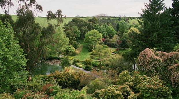 Marwood Hill Gardens Picture 1