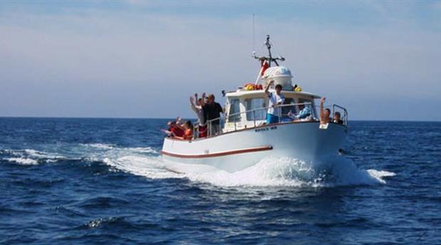 Plymouth Boat Trips Picture 1