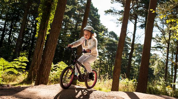 Haldon Forest Park Picture 4