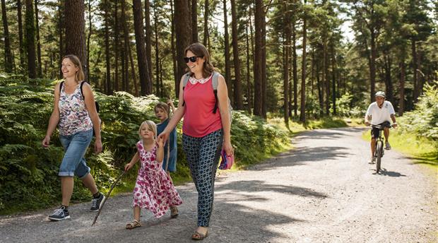 Haldon Forest Park Picture 2