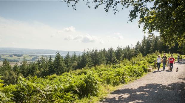 Haldon Forest Park Picture 1