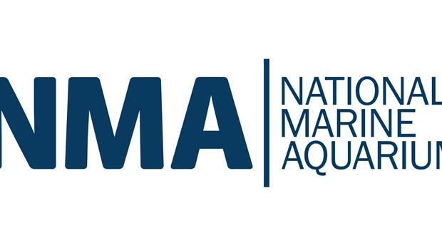 National Marine Aquarium Picture 1