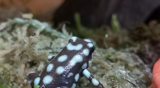 Shaldon Zoo Picture 4