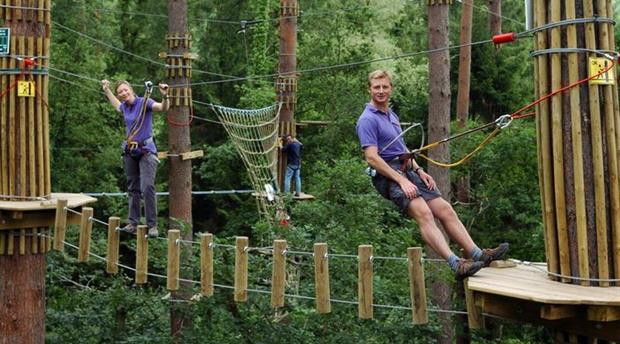 Go Ape Tree Top Adventure Picture 2