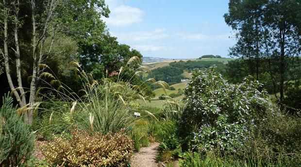 Plant World Gardens and Nursery Picture 2