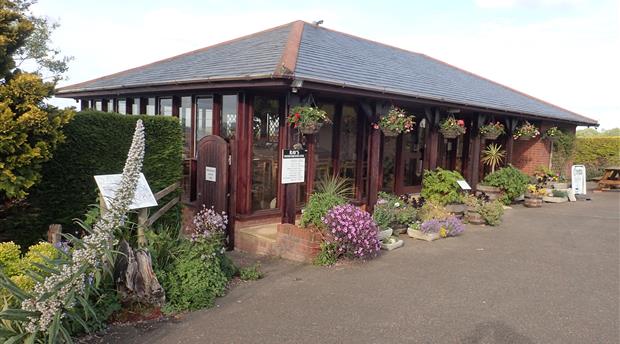 Plant World Gardens and Nursery Picture 3