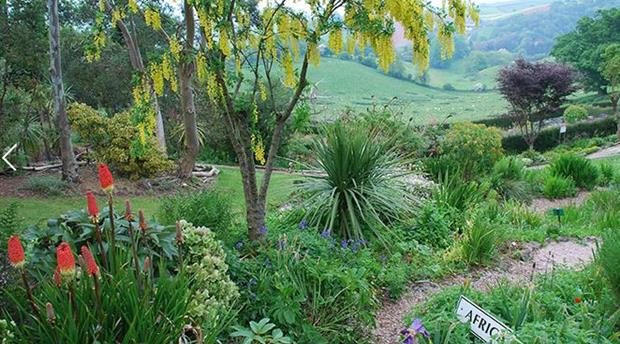 Plant World Gardens and Nursery Picture 1