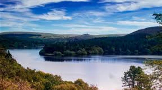 Burrator  Picture 1