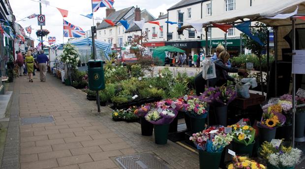 Honiton Picture 1
