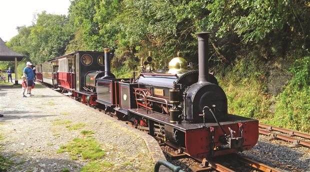 Launceston Steam Railway Picture 2