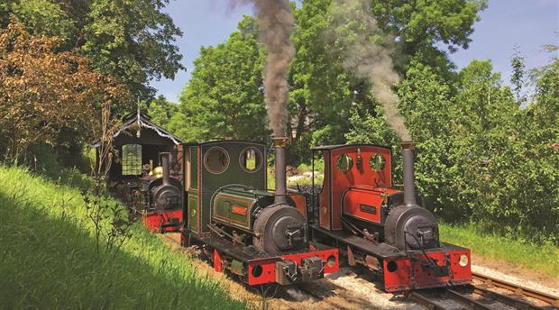 Launceston Steam Railway Picture 3