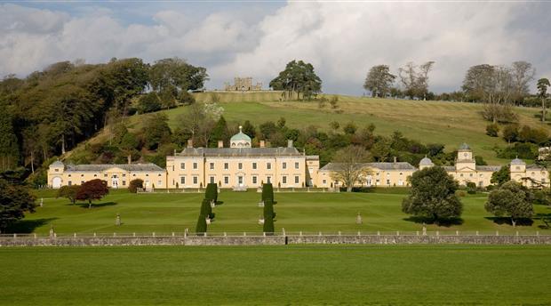 Castle Hill Gardens Picture 1