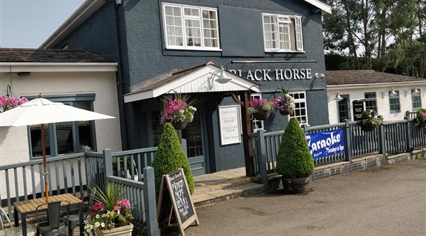 Black Horse Picture 1