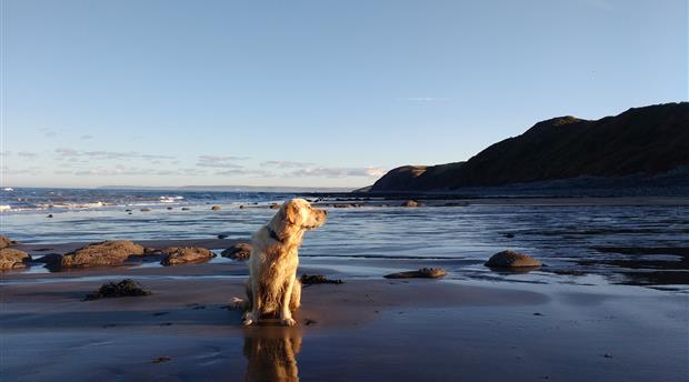 North Devon National Trust Picture 3