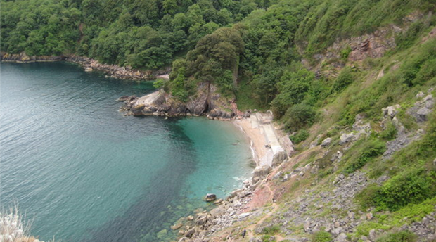 Ansteys Cove Beach Picture 1