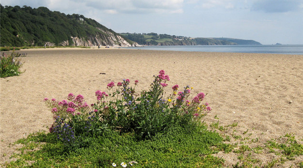 Strete Gate Beach Picture 1