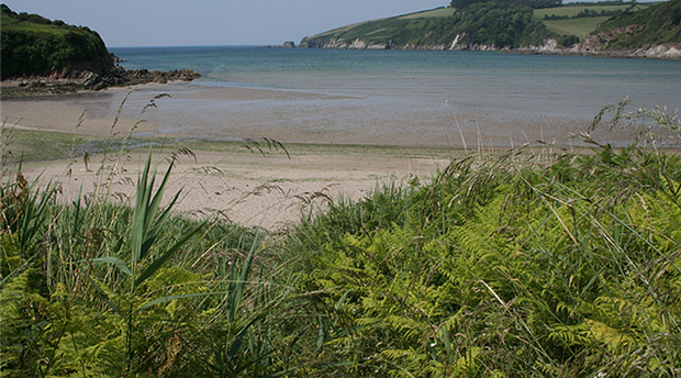 Wonwell Sands Beach Picture 1