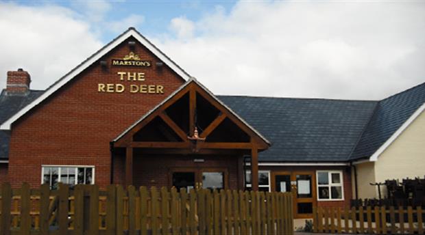 Red Deer Picture 1