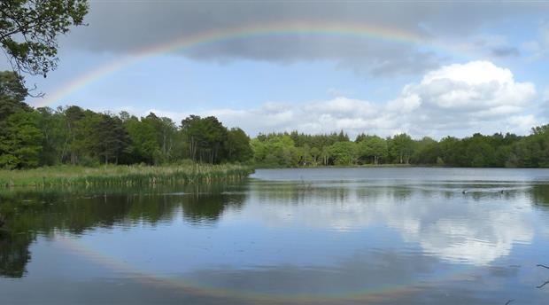 Stover Country Park Picture 2