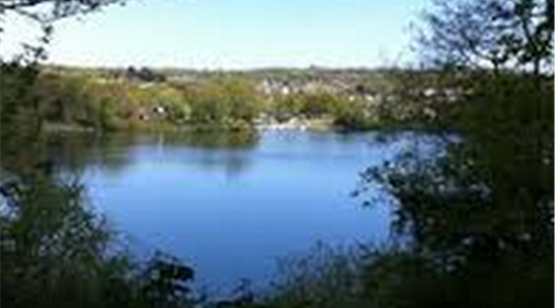 Decoy Country Park Picture 2