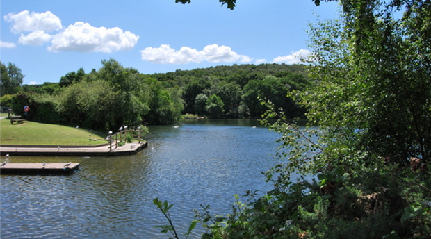 Decoy Country Park Picture 3