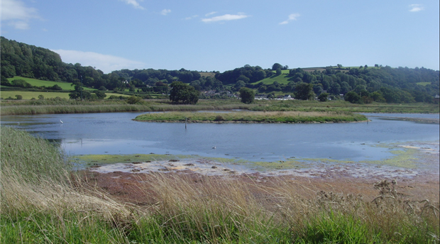 Axe Estuary Wetland Project Picture 1