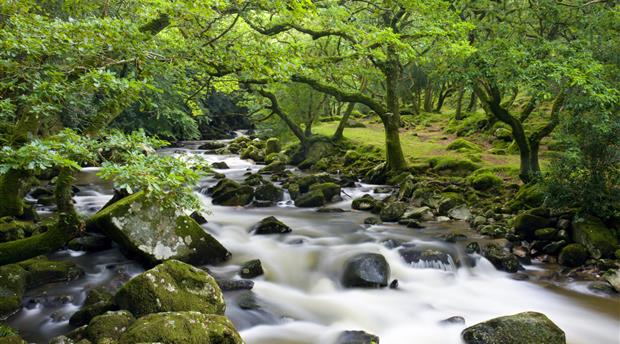 Dartmoor National Park Picture 3