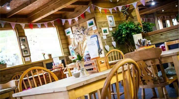 Ullacombe Farm Cafe & Shop Picture 2