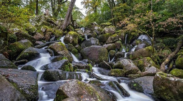 Becky Falls Picture 1
