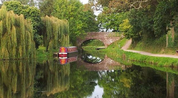 Tiverton Canal Company Picture 2