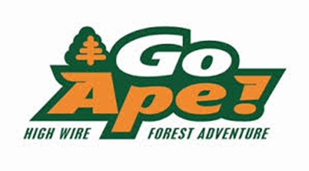 Go Ape Tree Top Adventure Picture 1