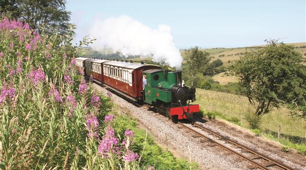 Lynton & Barnstaple Railway Company Picture 2