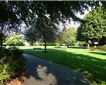 St Thomas Pleasure Ground, Exeter Picture
