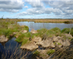 Exmouth Local Nature Reserve Picture