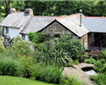 Docton Mill Gardens and Tea Rooms  Picture