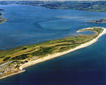 Dawlish Warren Beach Nature & Wildlife Reserve Picture